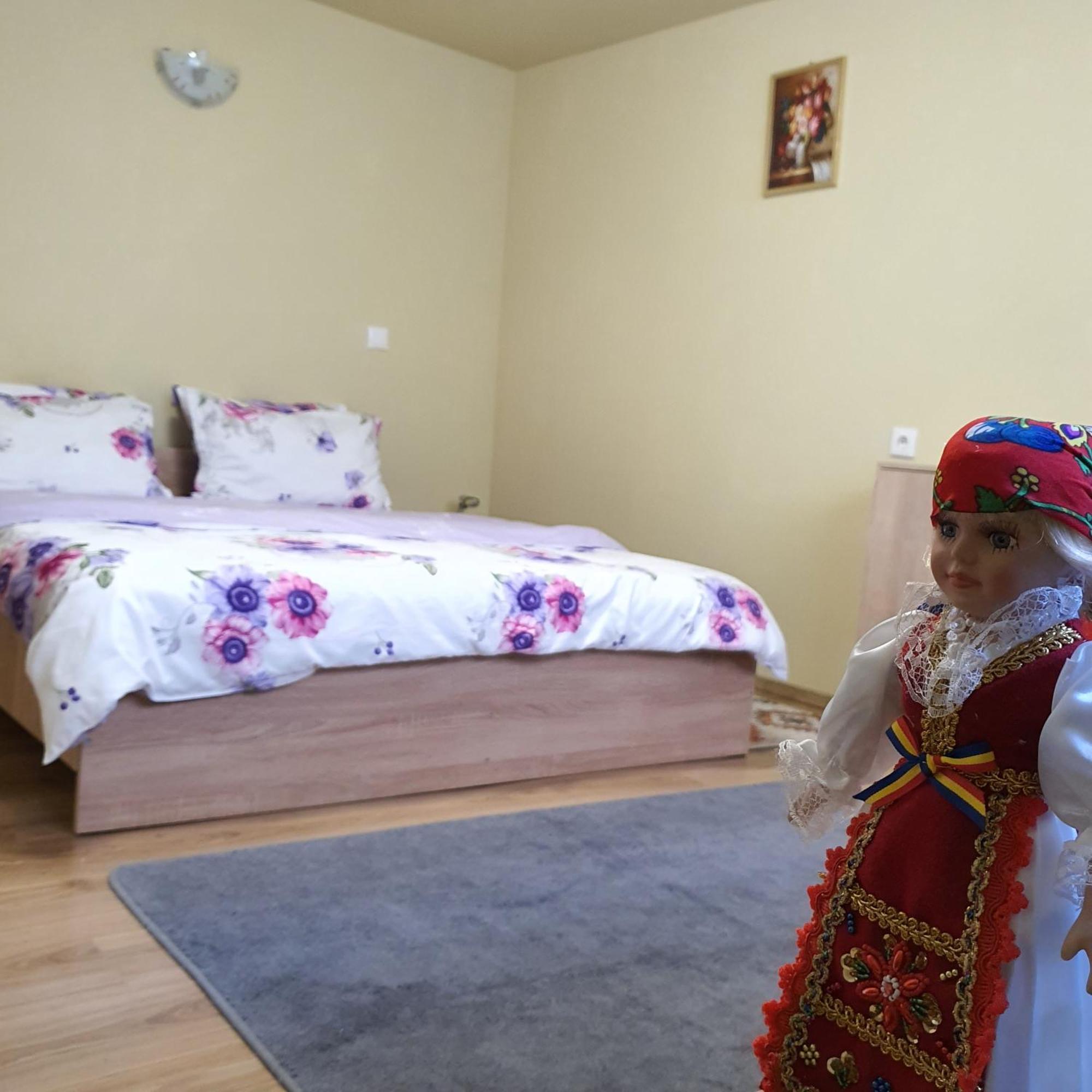 Carissa House Apartment Brasov Luaran gambar